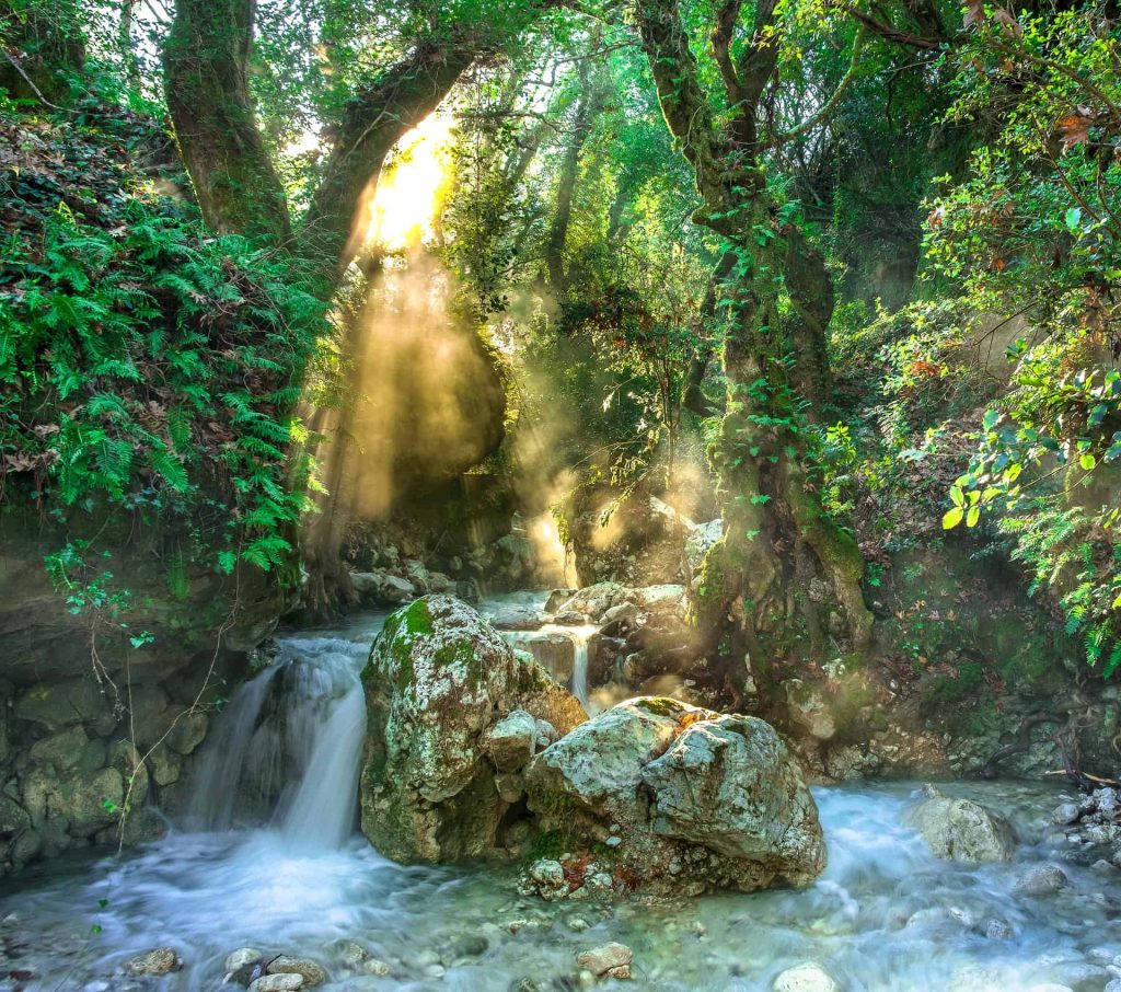 Sunlight breaking through trees above a waterfall flowing over boulders, symbolizing release and renewal.
